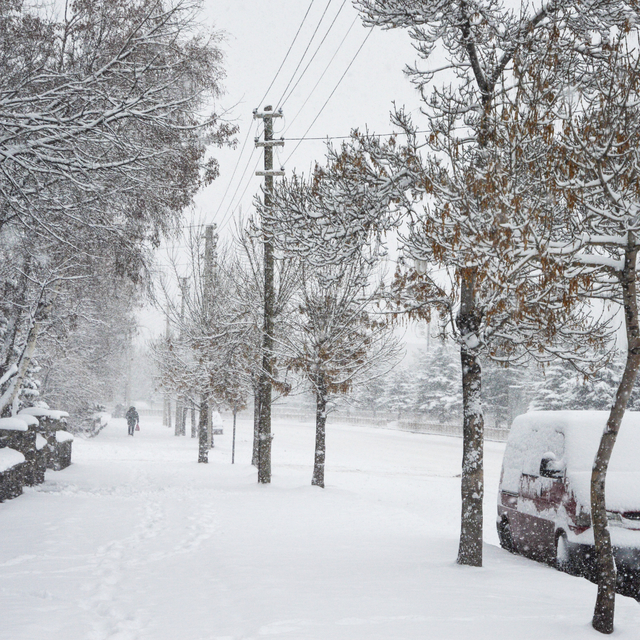 Doğu Anadolu karla beyaza büründü