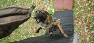 TSK'nin keskin burunları, Bursa'da gerçeği aratmayan tatbikatlarla titiz eğ...