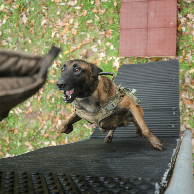 TSK'nin keskin burunları, Bursa'da gerçeği aratmayan tatbikatlarla titiz eğ...