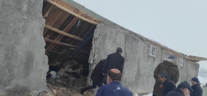Erzurum'da ahırın çökmesi sonucu hayvanlardan 1'i telef oldu, 43'ü kurtarıldı