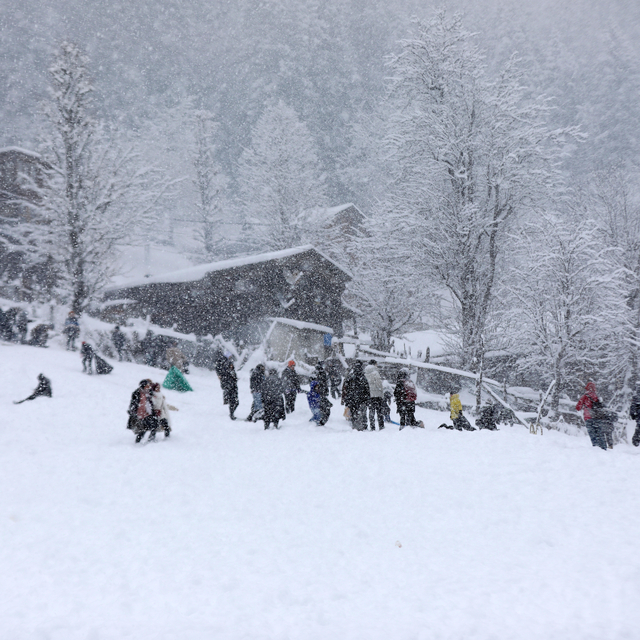 Rize'de "16. Ayder Kar Festivali" başladı