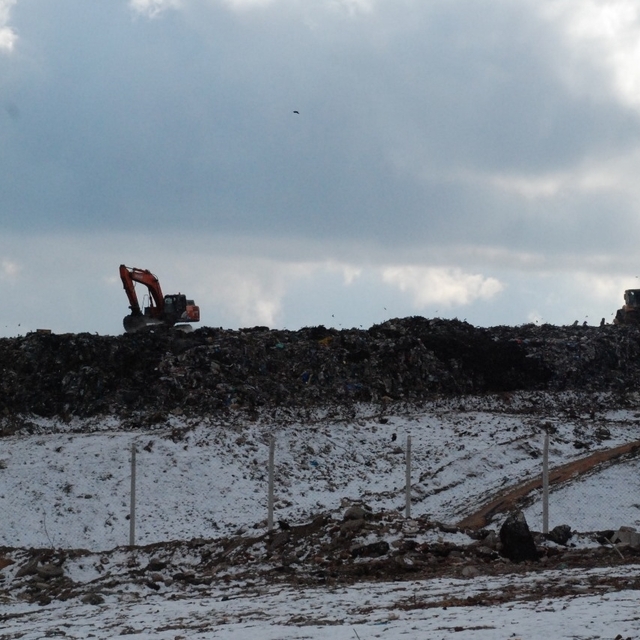 Eskişehir'deki çöplükte bebek cesedi bulundu