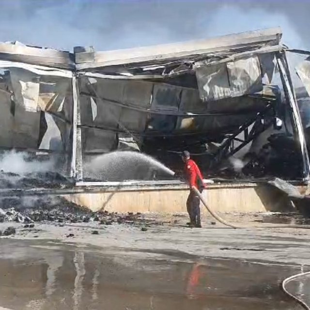 Mersin´de narenciye paketleme tesisinde yangın (2)