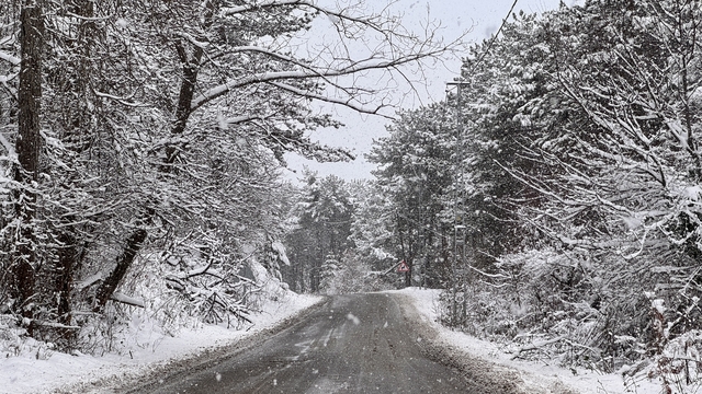Kastamonu'da kar yağışı etkili oluyor