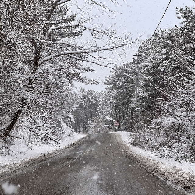 Kastamonu'da kar yağışı etkili oluyor