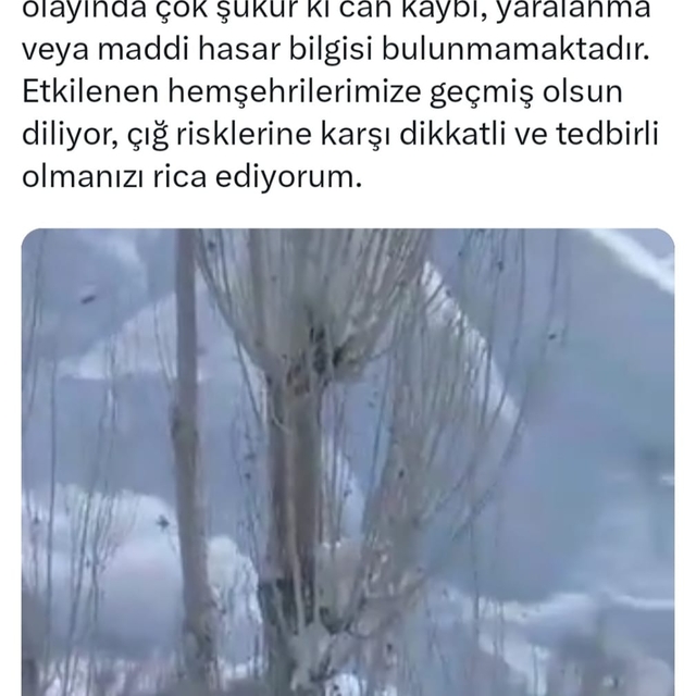 Van'da 451 yerleşim yerinin yolu kardan kapandı (2)