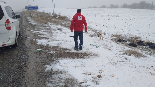 Türk Kızılay Baskil Şubesi sahipsiz hayvanlar için belirli noktalara yiyecek bıraktı