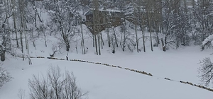 Küçükbaş sürüsünün karda zorlu yolculuğu