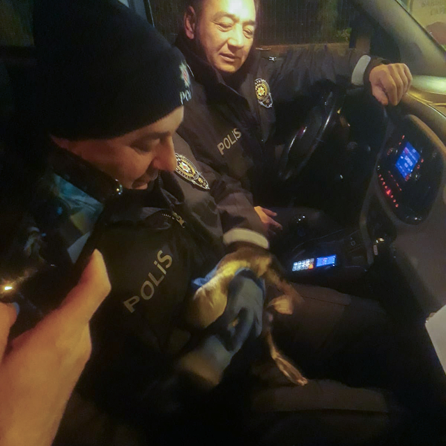 Samsun'da yaralı karabatağı devriye polisi kurtardı
