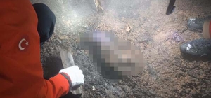 Van'daki ev yangınında 6 aylık Şerzan bebek, beşiğinde yanarak can verdi