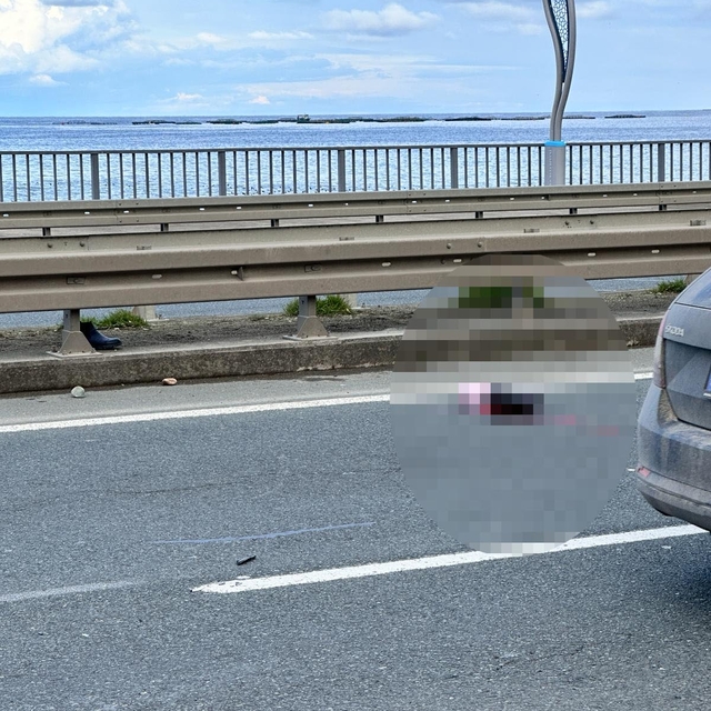 Yolun karşısına geçerken otomobil çarpan balıkçı, öldü