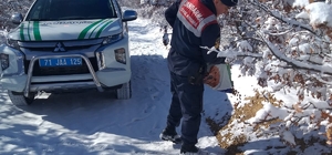 Kırıkkale'de yaban hayvanları için doğaya yiyecek bırakıldı