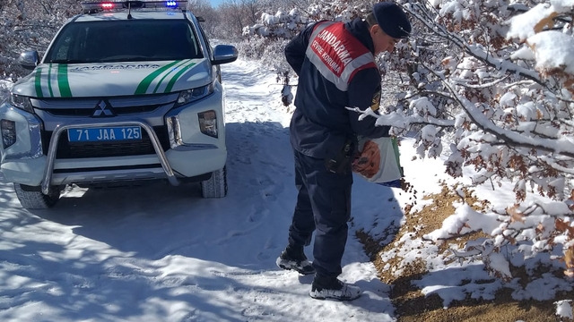 Kırıkkale'de yaban hayvanları için doğaya yiyecek bırakıldı
