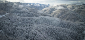 Sakarya'nın yüksek kesimlerinde kar etkili oluyor