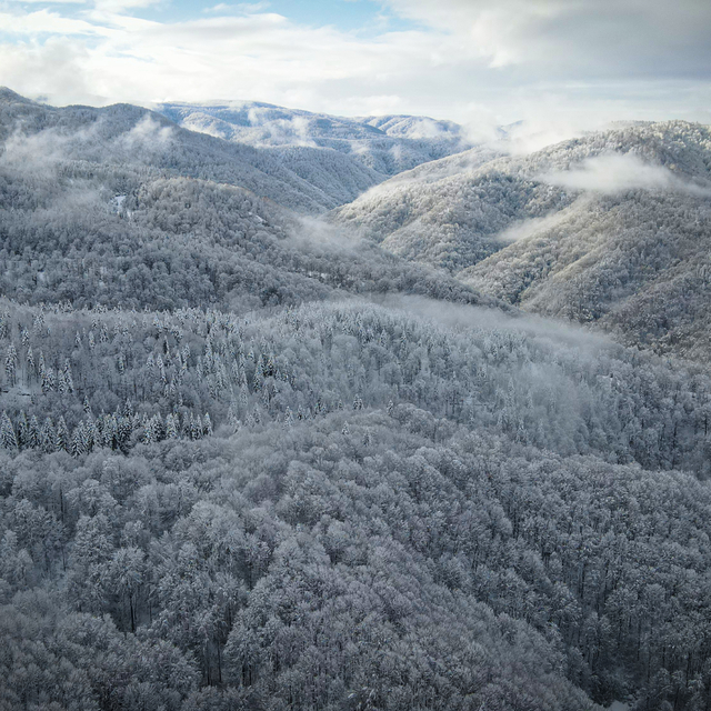 Sakarya'nın yüksek kesimlerinde kar etkili oluyor