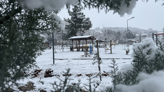 Siirt, Şırnak, Elazığ ve Bingöl'de kar nedeniyle 99 köy ve mezraya ulaşım sağlanamıyor