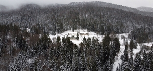 Sinop'ta 1600 rakımlı Çangal Dağı'ndaki kar manzarası havadan görüntülendi