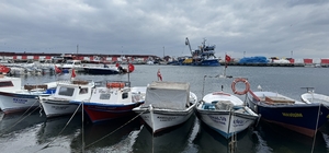 Marmara'da umduğunu bulamayan Tekirdağlı balıkçılar Karadeniz'e ağ atıyor