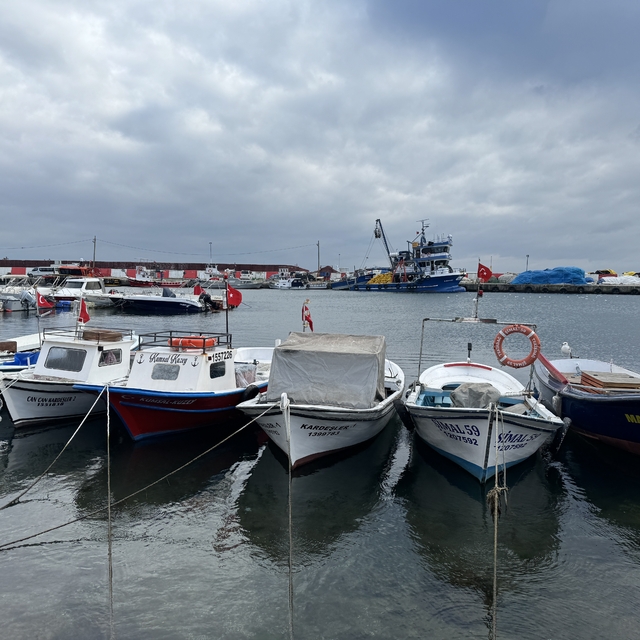 Marmara'da umduğunu bulamayan Tekirdağlı balıkçılar Karadeniz'e ağ atıyor