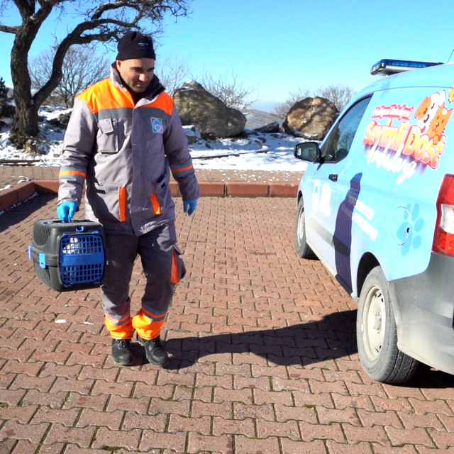 Melikgazi'nin Sevimli Dost Ambulansı 7 gün hayvanların yardımında