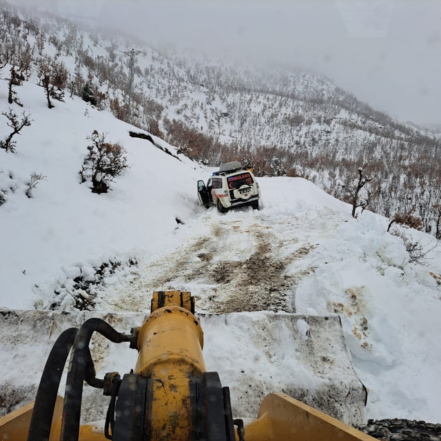 Siirt'te yolu kardan kapanan köylerdeki 2 hasta ekipler tarafından hastaney...
