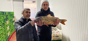 Beyşehir'de tatlı su balığı avcılarına yönelik denetim yapıldı