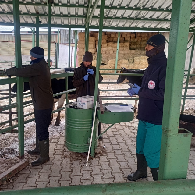 Beyşehir'de aşılama çalışmaları sürüyor