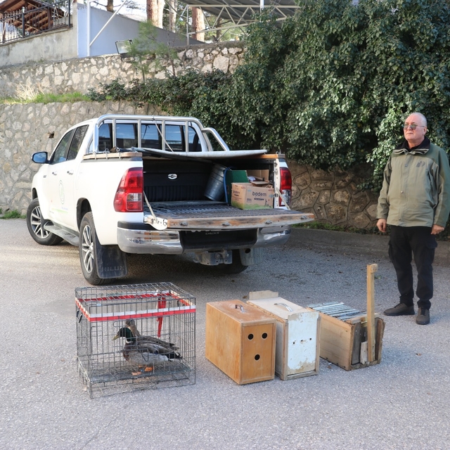 Yabani kuşları yakalayıp satan şüpheliye operasyon