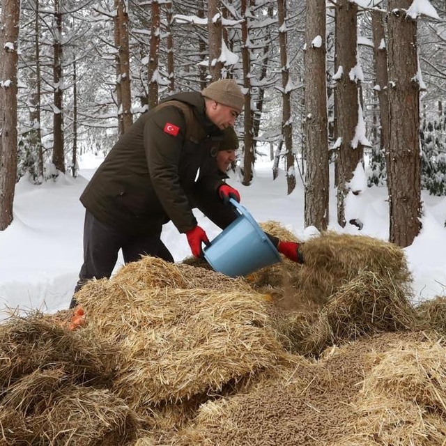 Düzce'de yaban hayvanları için doğaya yem bırakıldı