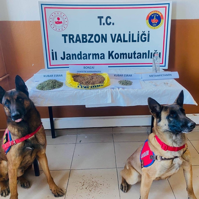 Trabzon'da uyuşturucu operasyonunda 1 kişi gözaltına alındı