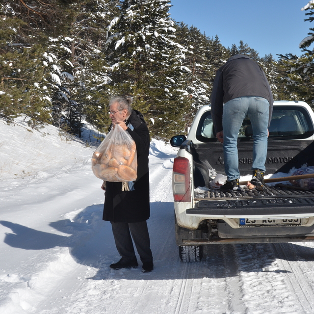 Kars'ta yaban hayvanları için karla kaplı doğaya yem bırakıldı