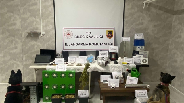 Bilecik'te evinde uyuşturucu madde yetiştiren şüpheli yakalandı