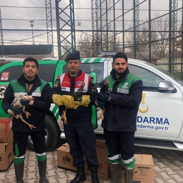 Konya'da horoz dövüşüne ilişkin yakalanan 7 kişiye 81 bin 851 lira ceza ver...