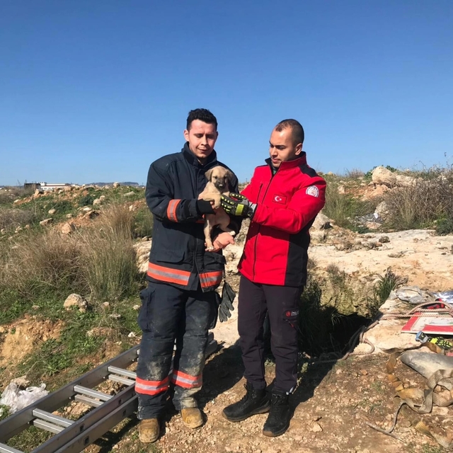 Mersin'de kuyuya düşen köpek yavrusunu itfaiye çıkardı