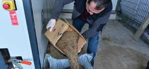 Zonguldak Bülent Ecevit Üniversitesinde yemek artıkları komposta dönüştürül...