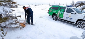 Karaman'da Jandarma yaban hayvanları için doğaya yem bıraktı