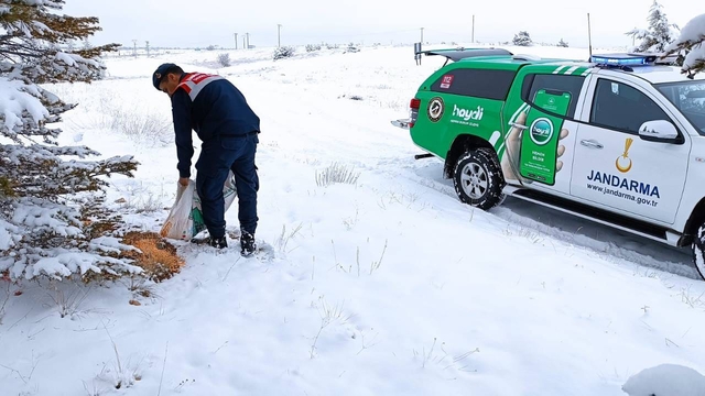 Karaman'da Jandarma yaban hayvanları için doğaya yem bıraktı