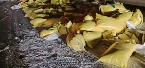 Gaziantep'te üç aracın karıştığı kazada 1 kişi yaralandı