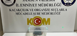 Samsun'da bir evde boa yılanı ele geçirildi