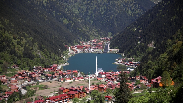 Galeri