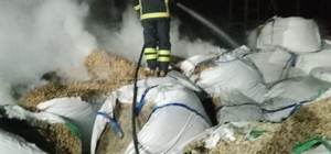 Adana'da tahıl kurutma fabrikasında çıkan yangın söndürüldü