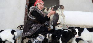 "Türkiye'nin Heidi'si" Hamdu Sena'nın gelecekteki hedefi Tarım Bakanı olmak