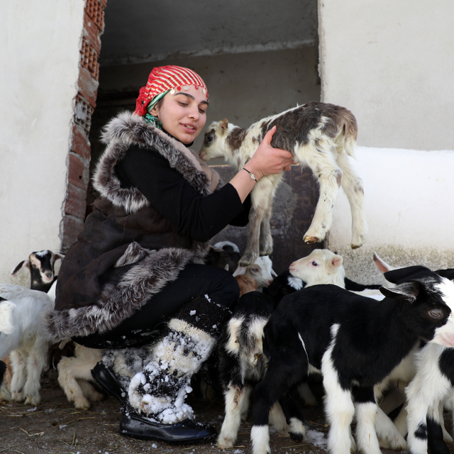 "Türkiye'nin Heidi'si" Hamdu Sena'nın gelecekteki hedefi Tarım Bakanı olmak