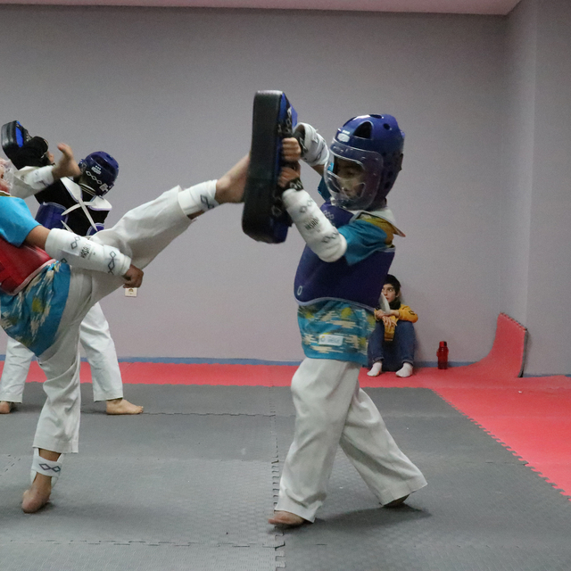 Şanlıurfa'da gençler, tekvando ve judo eğitimleriyle şampiyonalara hazırlan...