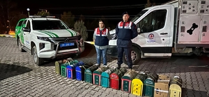 Denizli'de horoz dövüştüren 108 kişiye para cezası verildi