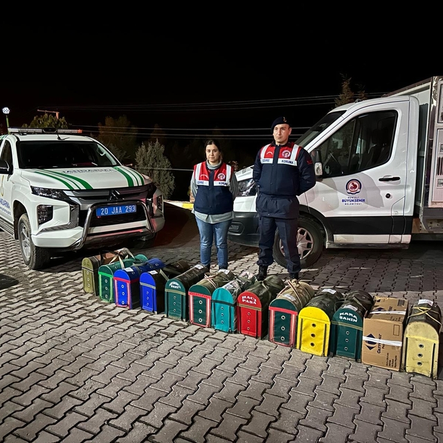 Denizli'de horoz dövüştüren 108 kişiye para cezası verildi