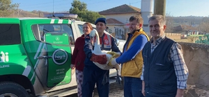 Bahçede bitkin bulunan kuğu, tedaviye alındı