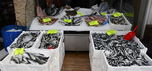 Akçakoca'da balıkçılar şiddetli rüzgarın ardından yeniden denize açıldı