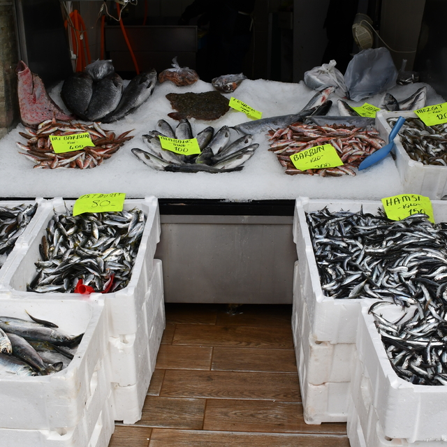 Akçakoca'da balıkçılar şiddetli rüzgarın ardından yeniden denize açıldı