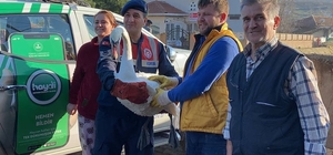 Edirne'de bitkin halde bulunan kuğu doğaya salındı